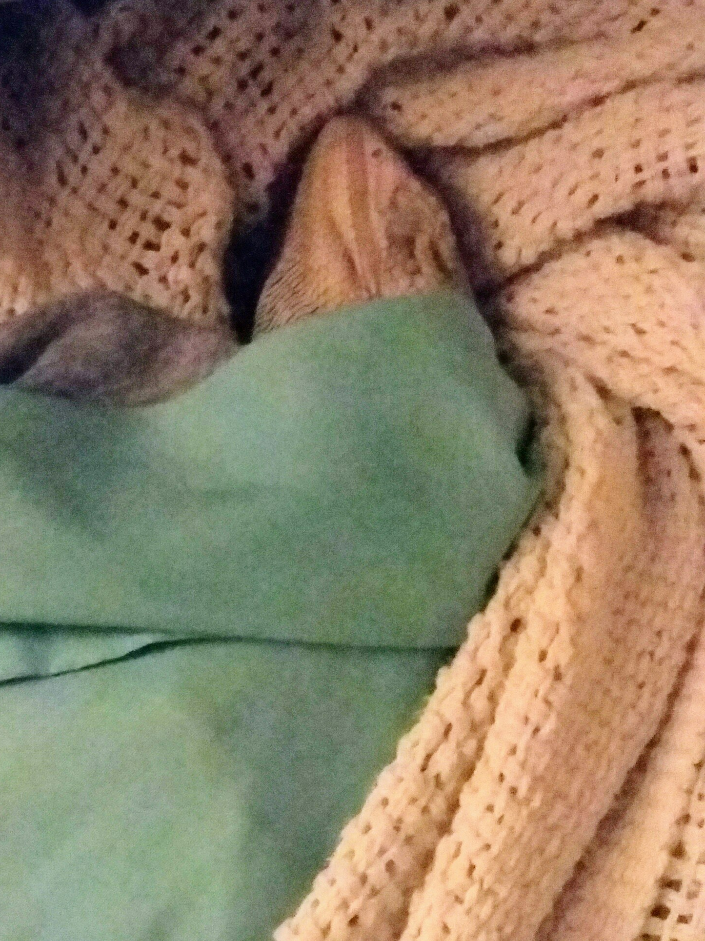 20180601_230332 - copy