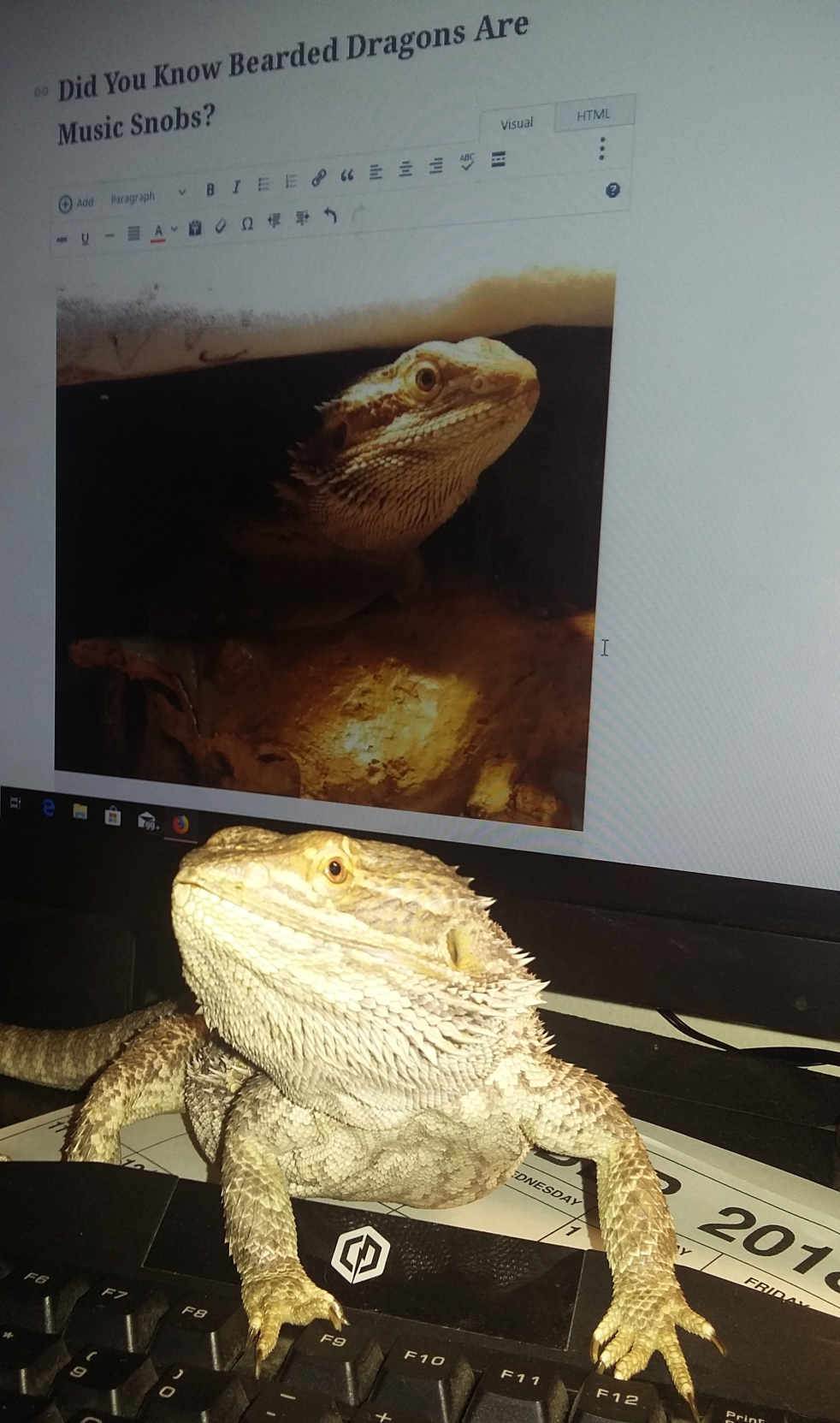 20181107_085510-e1541603557694