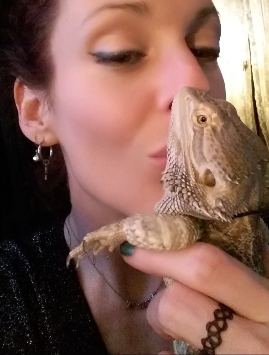 The Cruelty To&nbsp;Reptiles