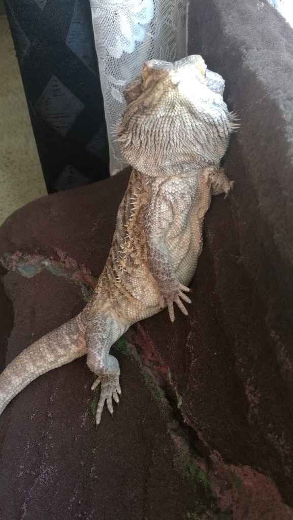 This image has an empty alt attribute; its file name is img_20200222_104800.jpg