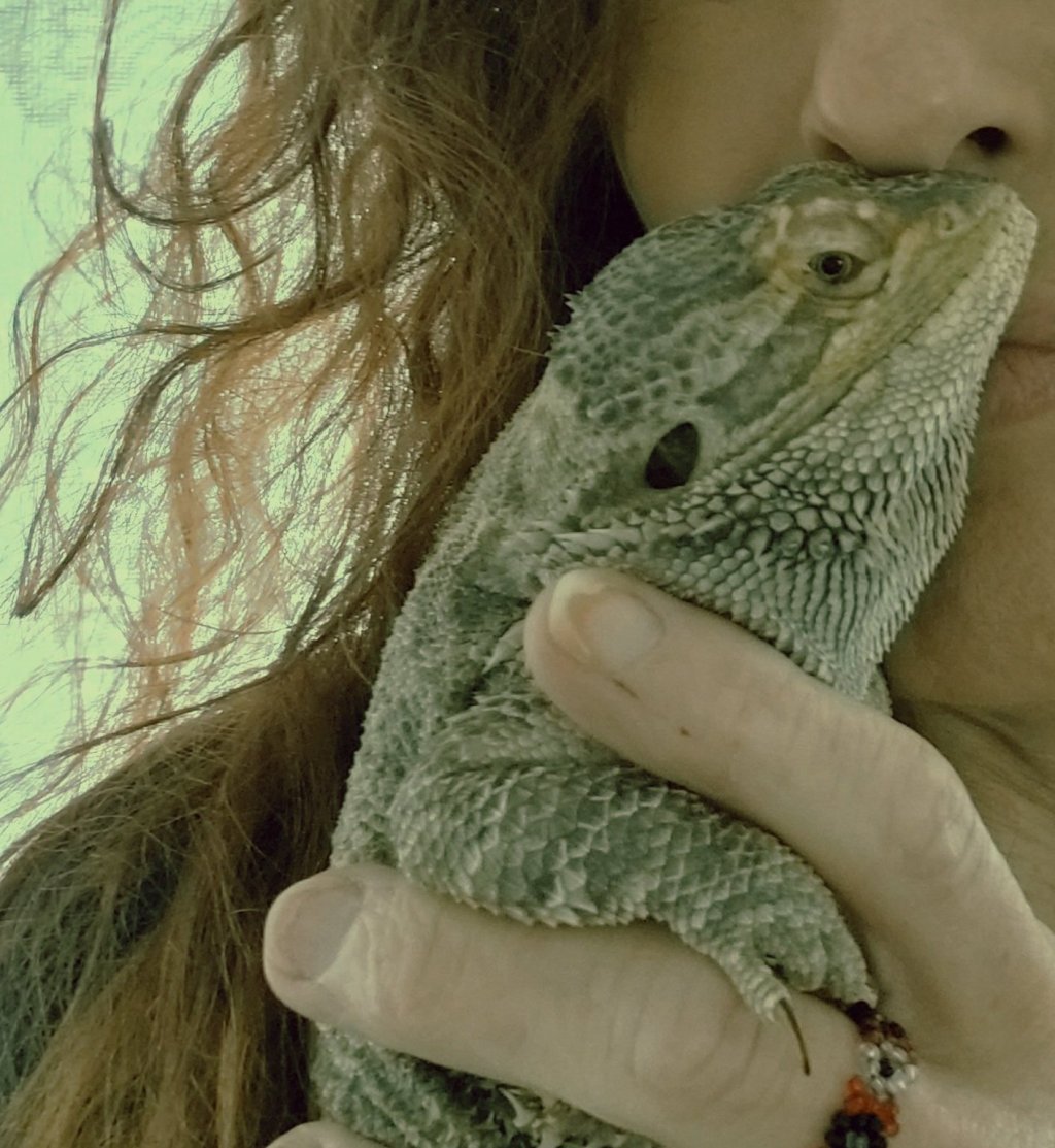 How Lizards Breathe: Unique Respiratory Systems&nbsp;Explained