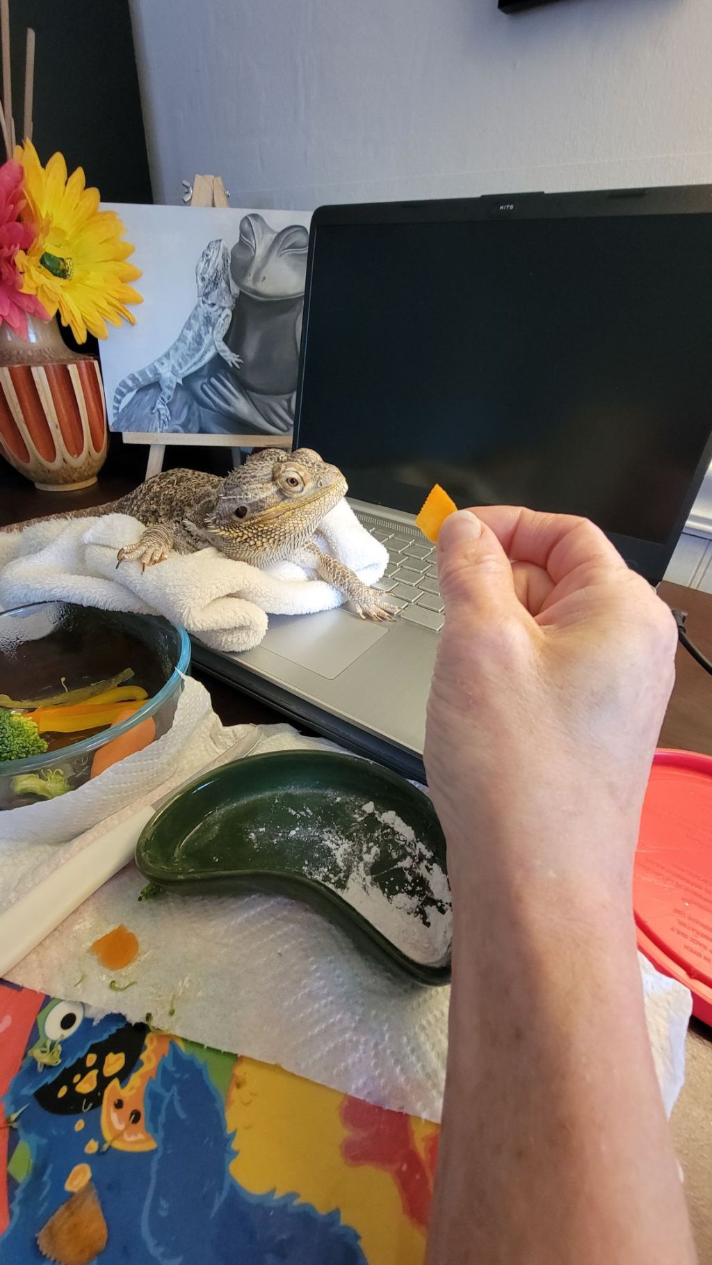 How To Feed A Finicky&nbsp;Lizard