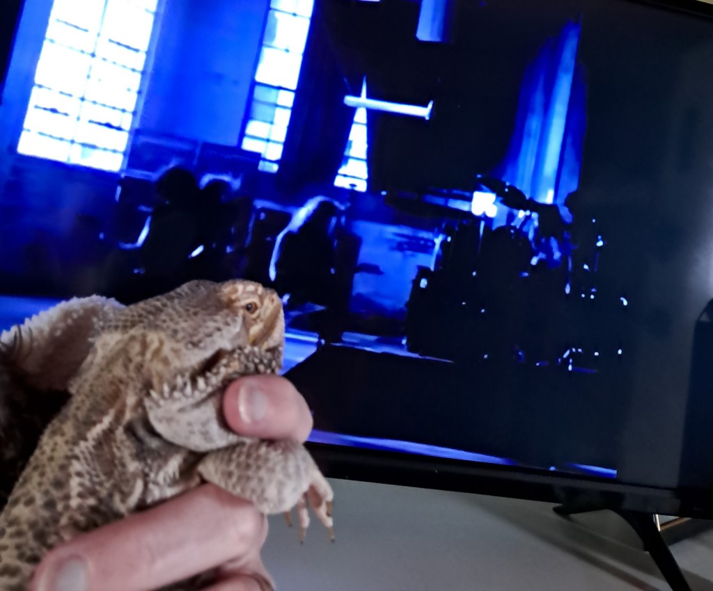 Media With Murph – 1 of 2  A Memorial Day&nbsp;Reflection