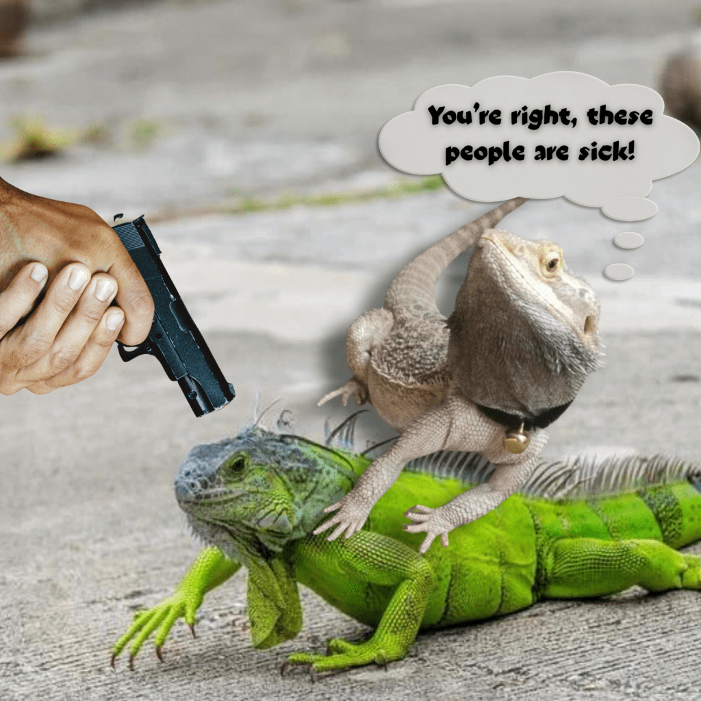 The Cold-Blooded Murdered in Cold&nbsp;Blood