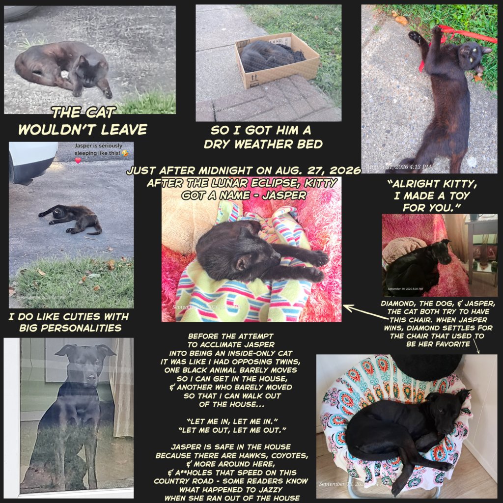 A collage of images featuring a black cat named Jasper, showcasing him sleeping in various poses and locations, including a box and a colorful blanket, along with text providing context about his adoption and interactions with a dog named Diamond.