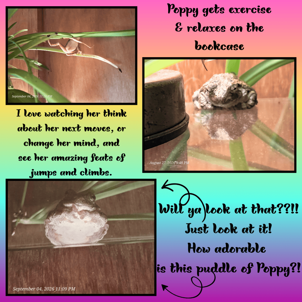 A collage featuring a frog named Poppy on a bookcase, surrounded by plant leaves. The image includes text expressing admiration for Poppy's playful movements and antics. There are two photos of Poppy, one of her climbing and another of her resting.