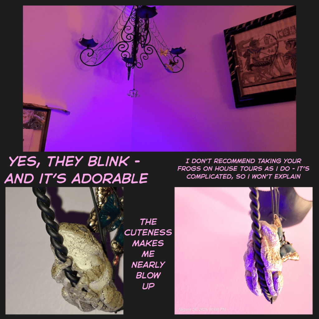 A whimsical image featuring decorative elements such as a chandelier with purple lighting, a framed artwork, and a small figurine with a playful caption about frogs.